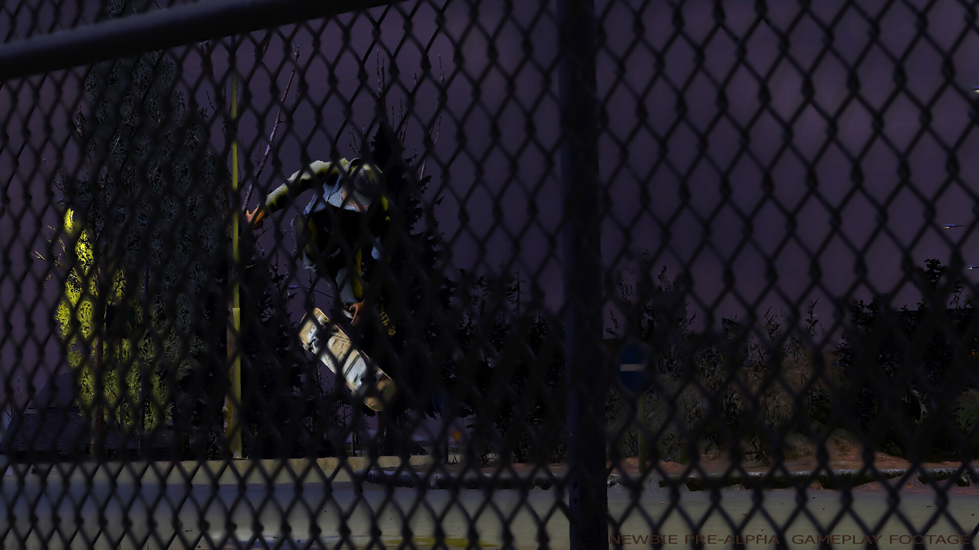 Newbie: Become a Skateboarder