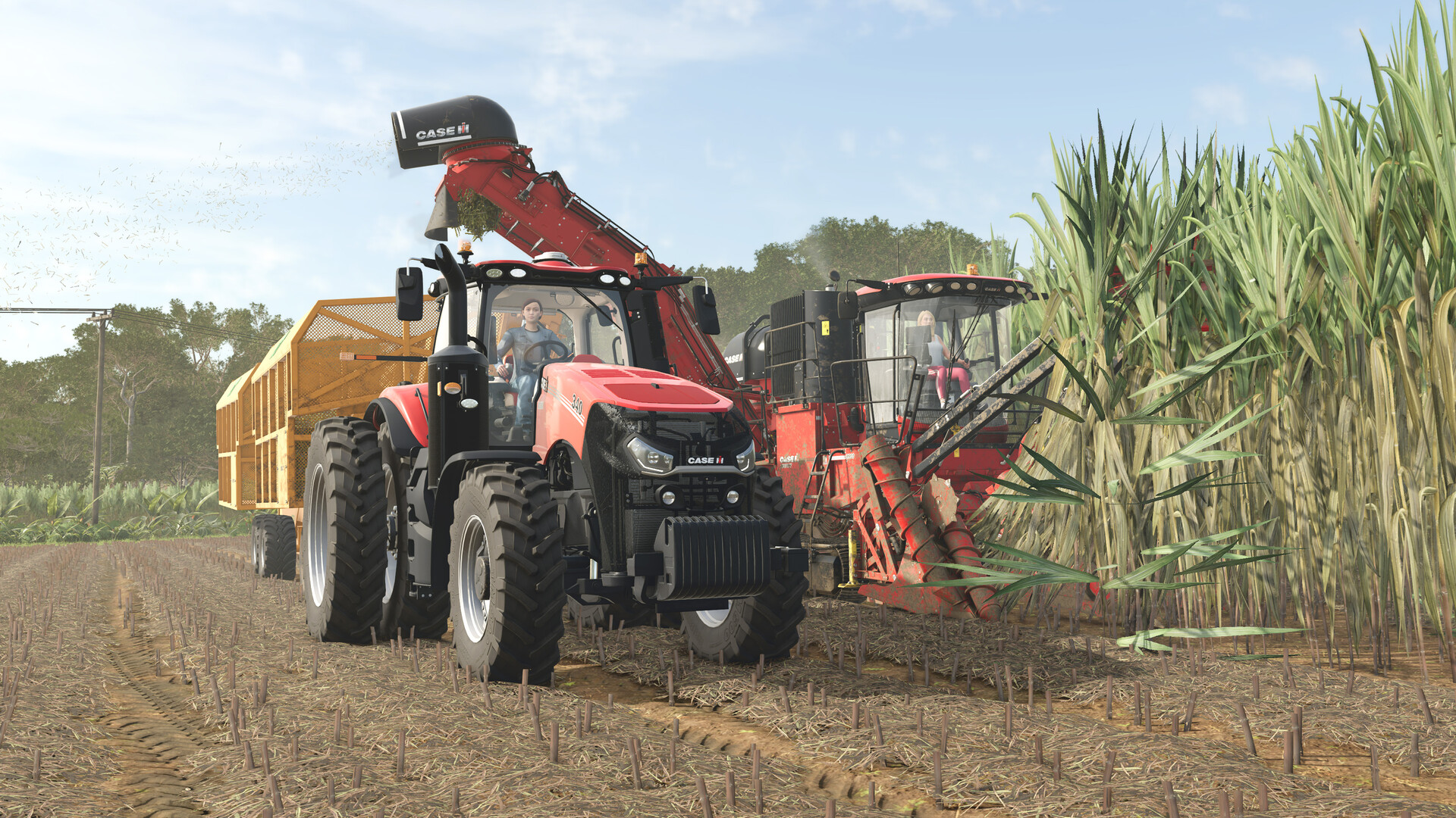 Farming Simulator 25: Beans &amp; Alpacas Expansion
