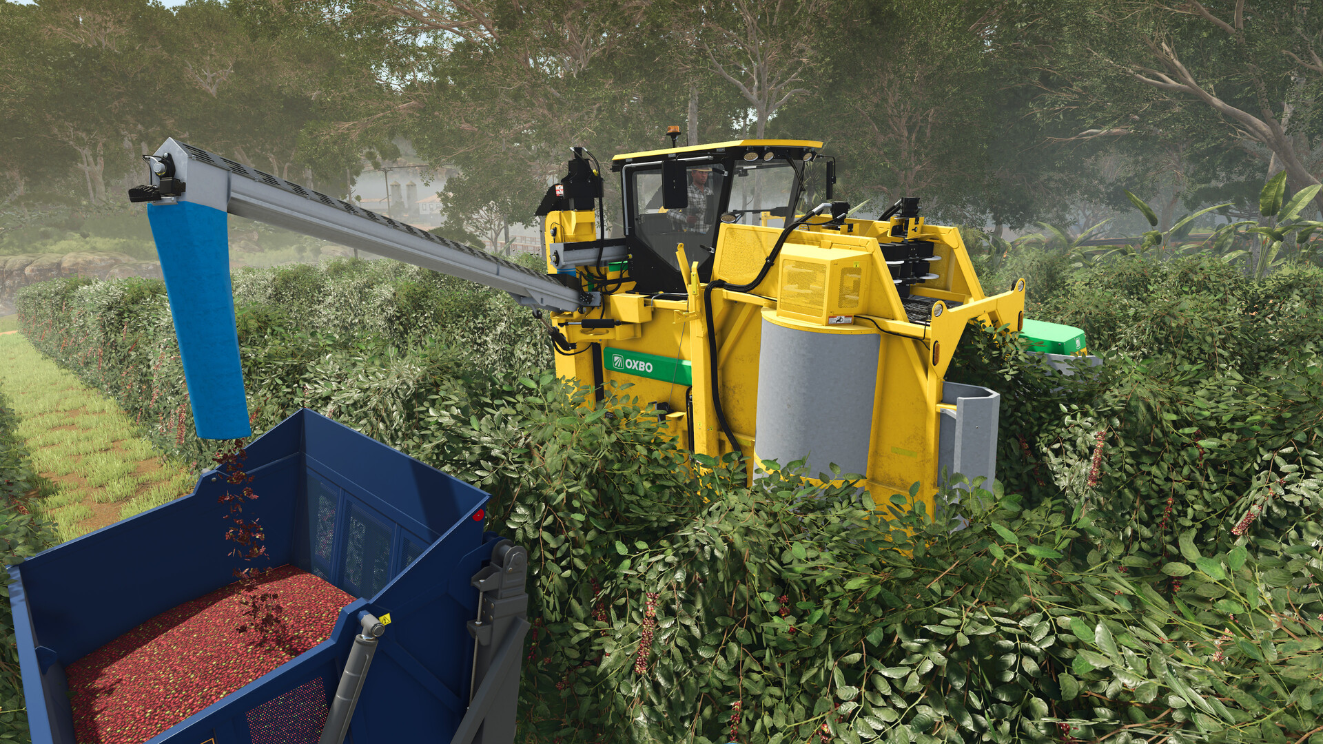 Farming Simulator 25: Beans &amp; Alpacas Expansion