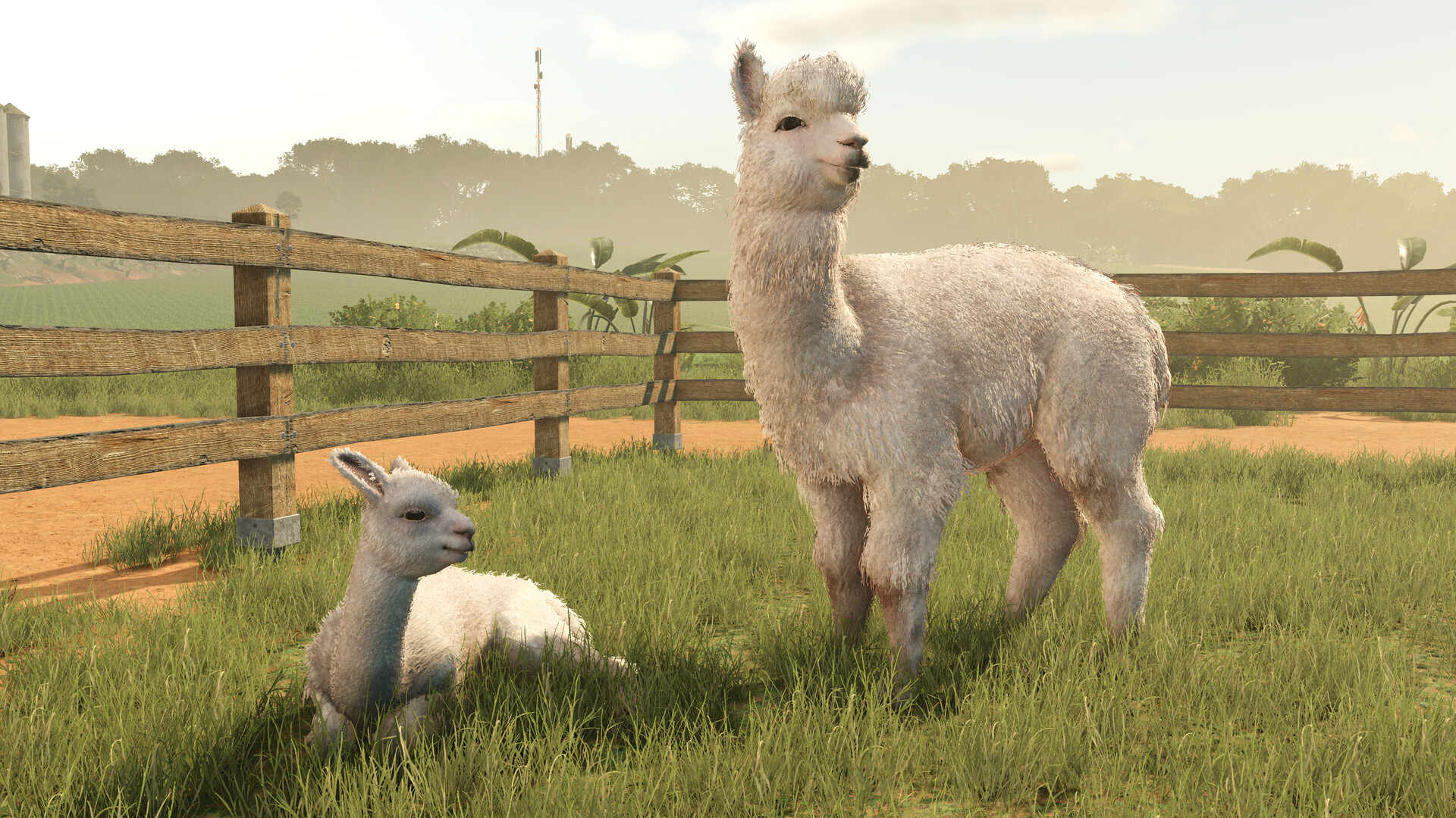 Farming Simulator 25: Beans &amp; Alpacas Expansion