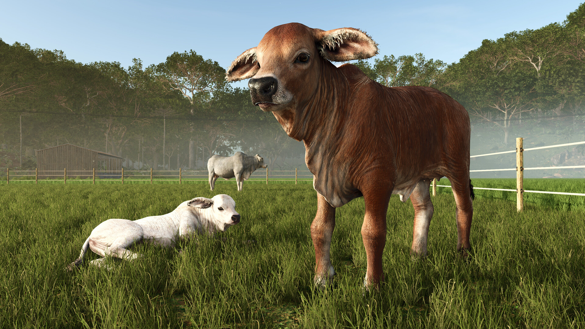 Farming Simulator 25: Beans &amp; Alpacas Expansion
