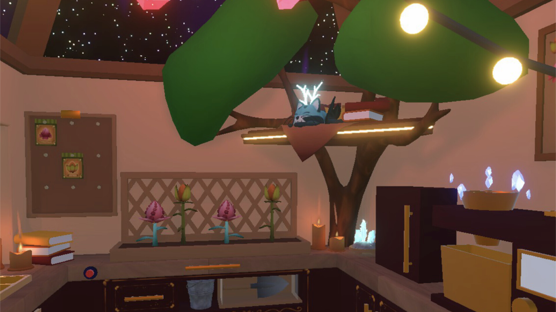 Scoop ‘n Shoot