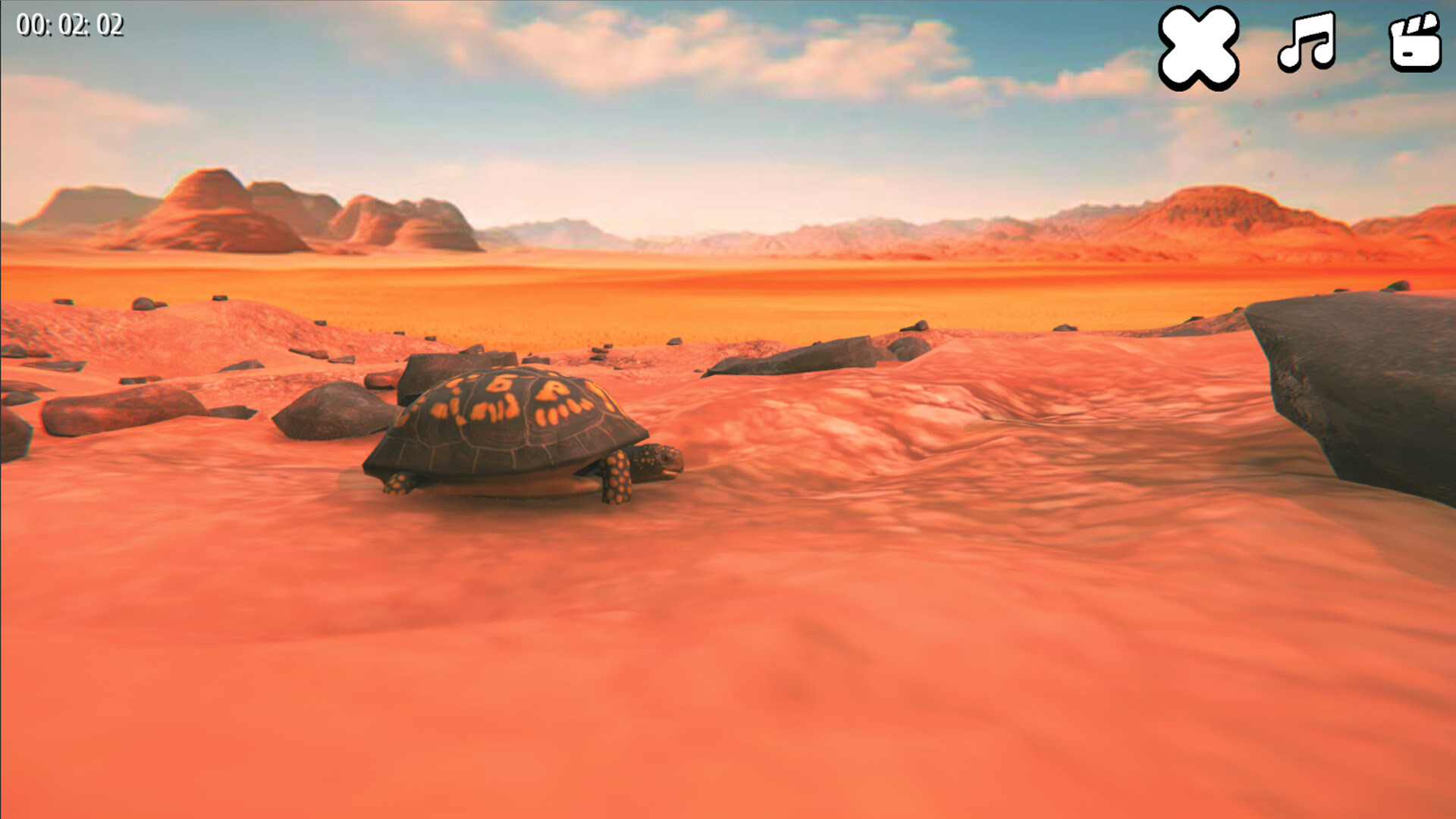 Catch the Turtle