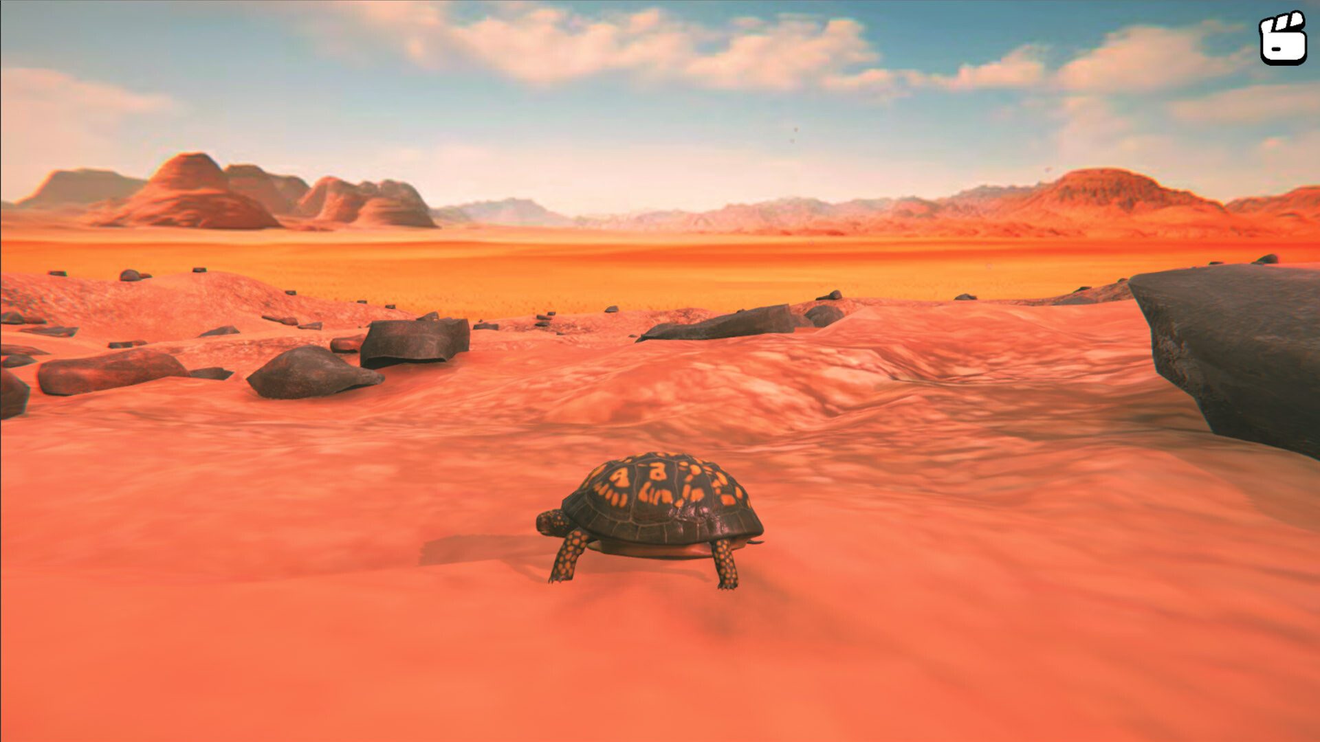 Catch the Turtle