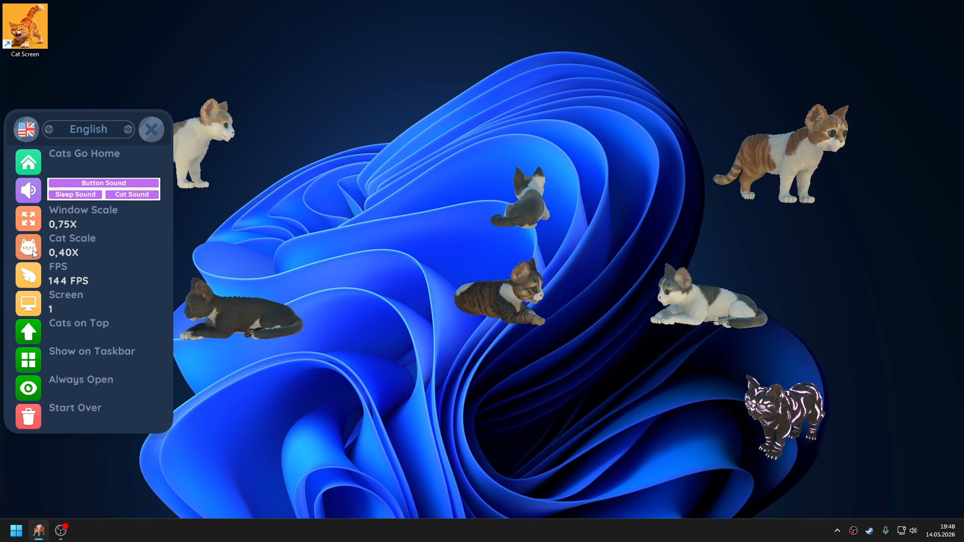 Cat Screen