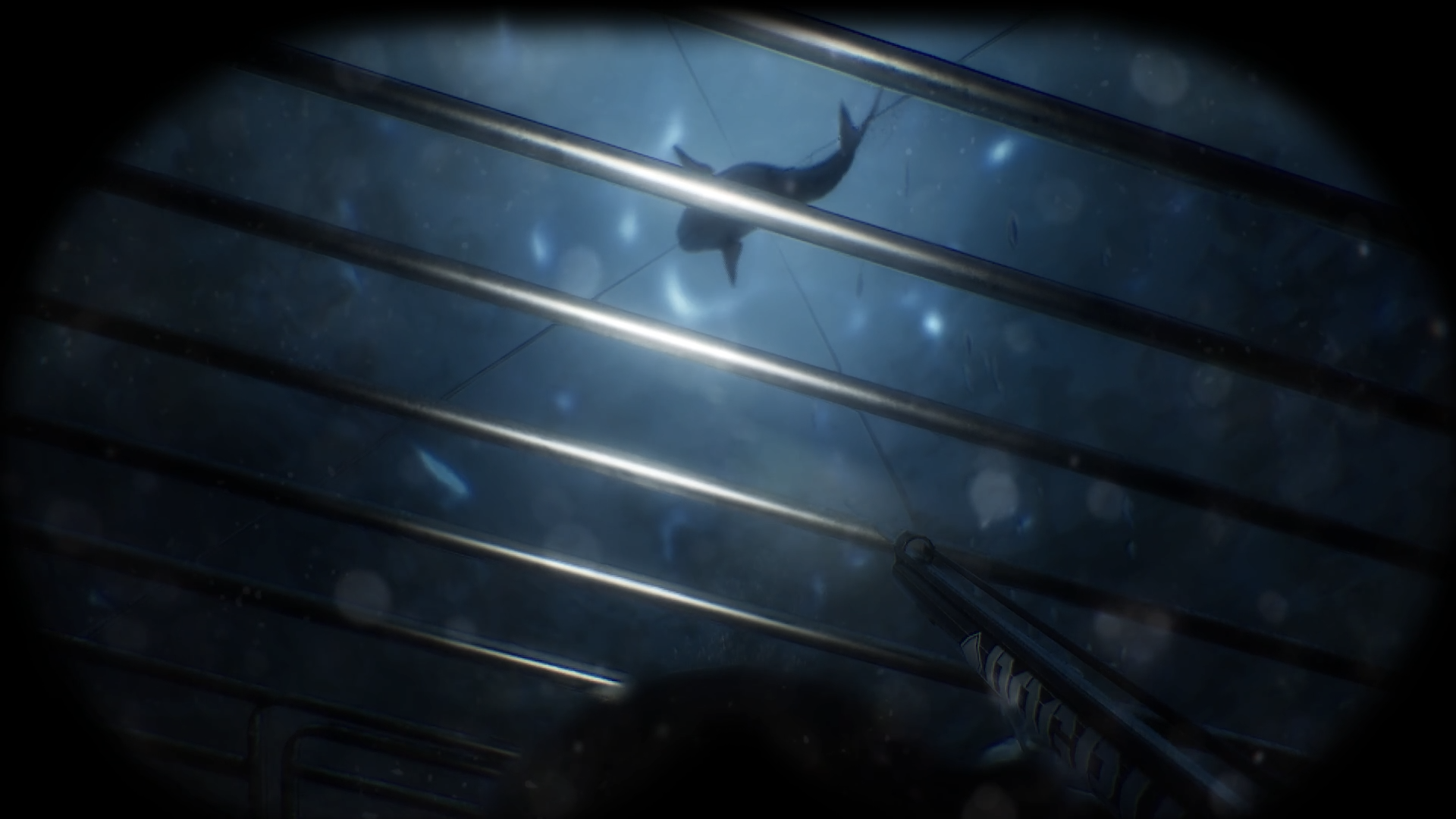 Scary Cave Diving