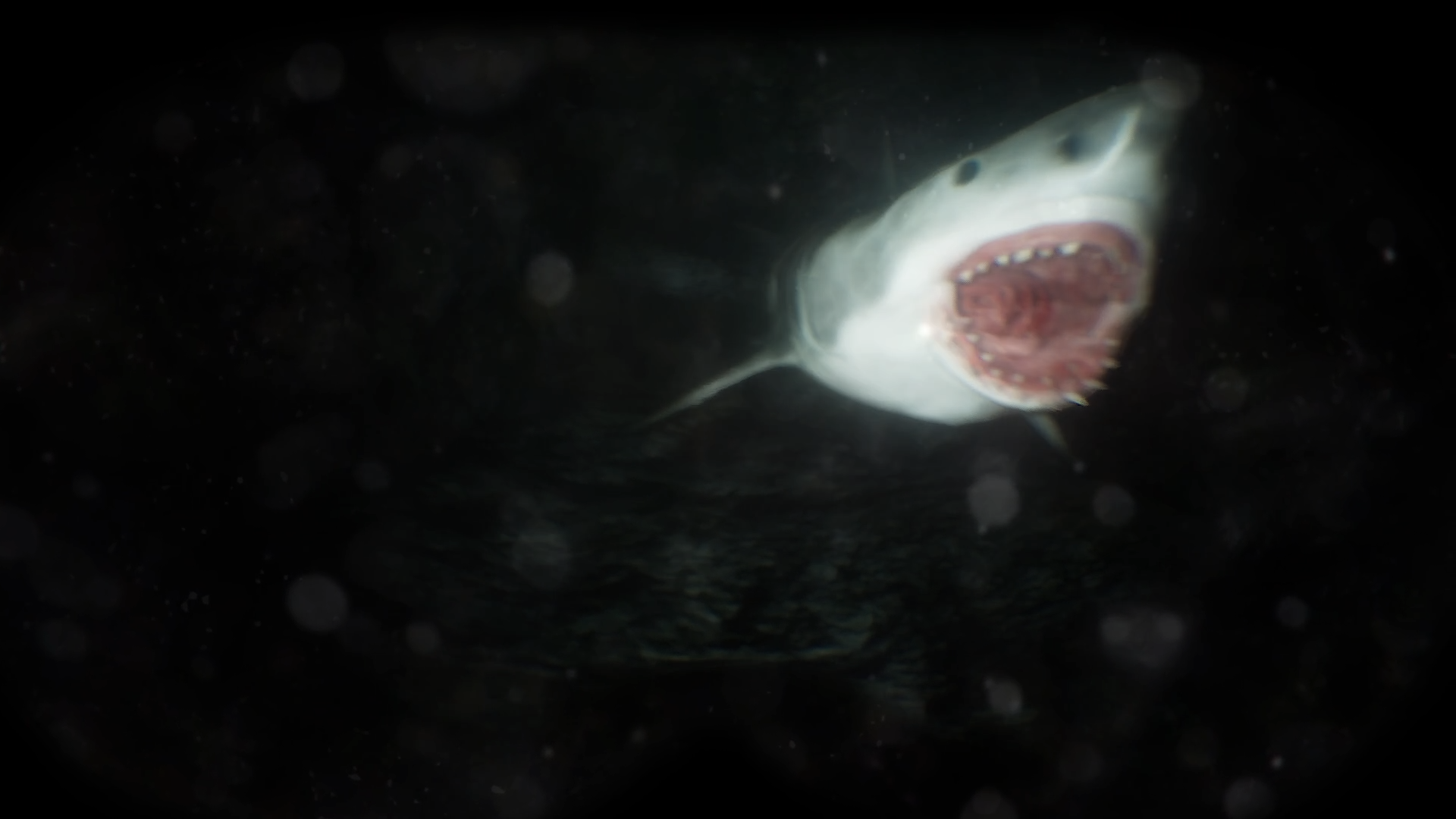 Scary Cave Diving