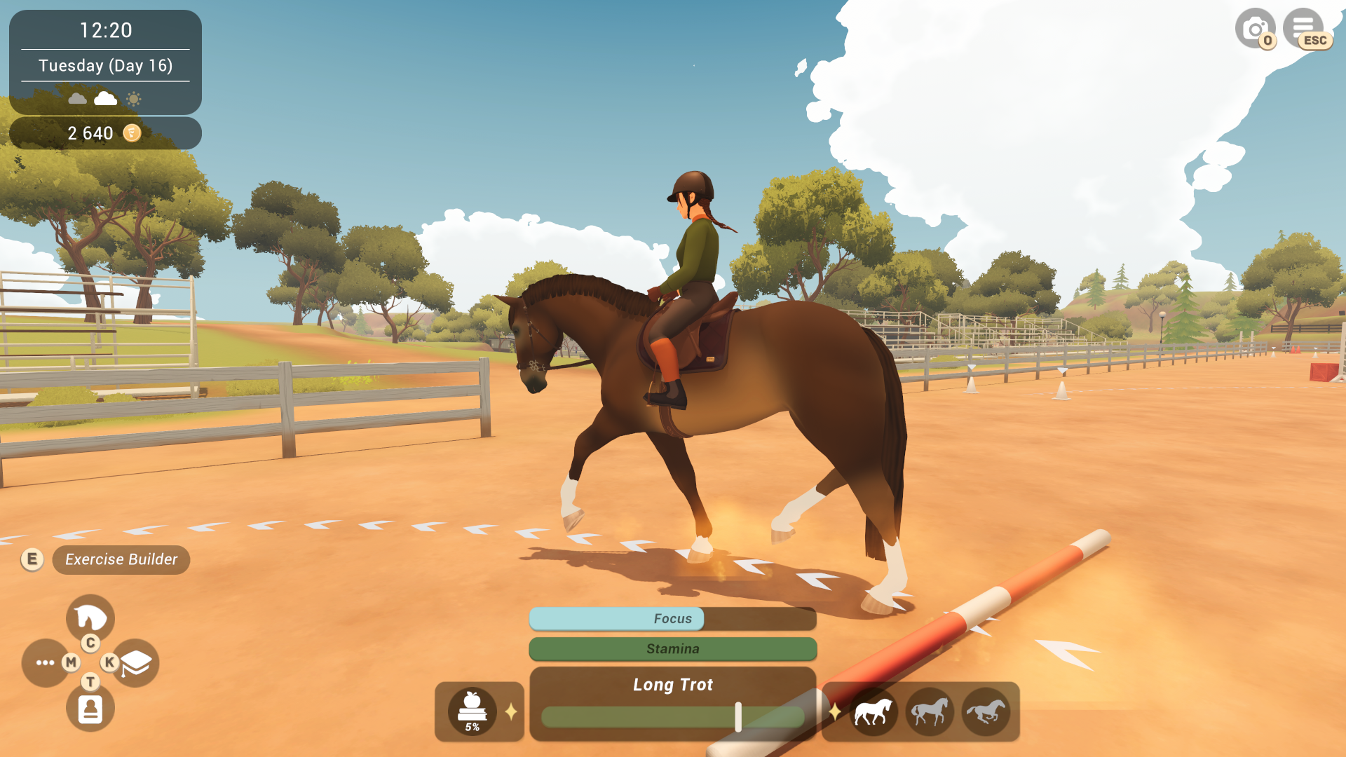Fernhoof Grove: Riding Academy