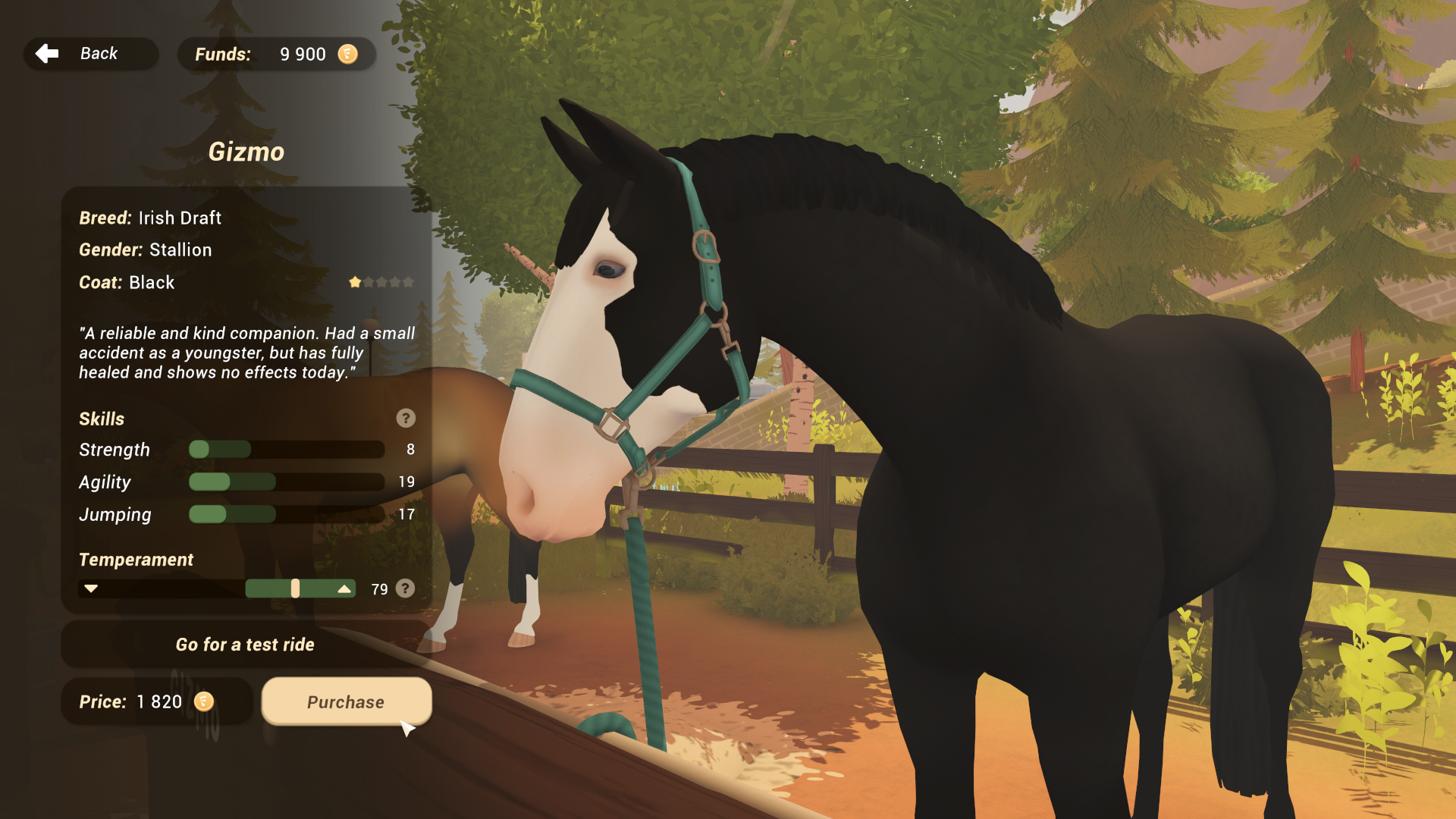 Fernhoof Grove: Riding Academy