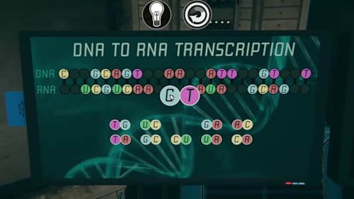 Escape Room Marathon