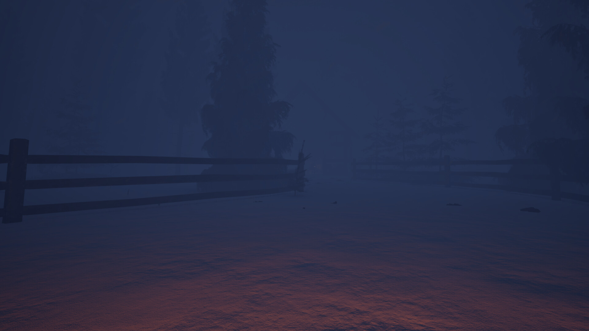 Whispers In The Woods