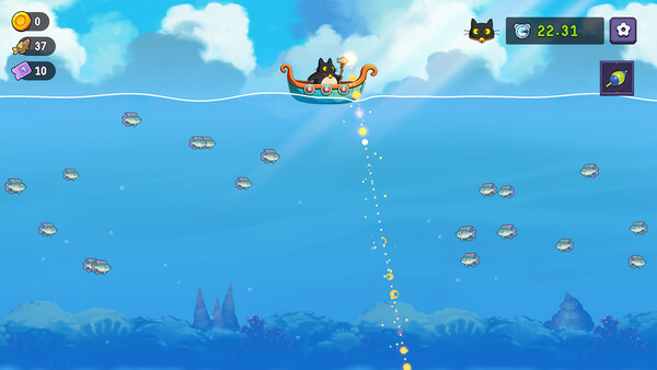 Fish to Cats: Catch &amp; Feed