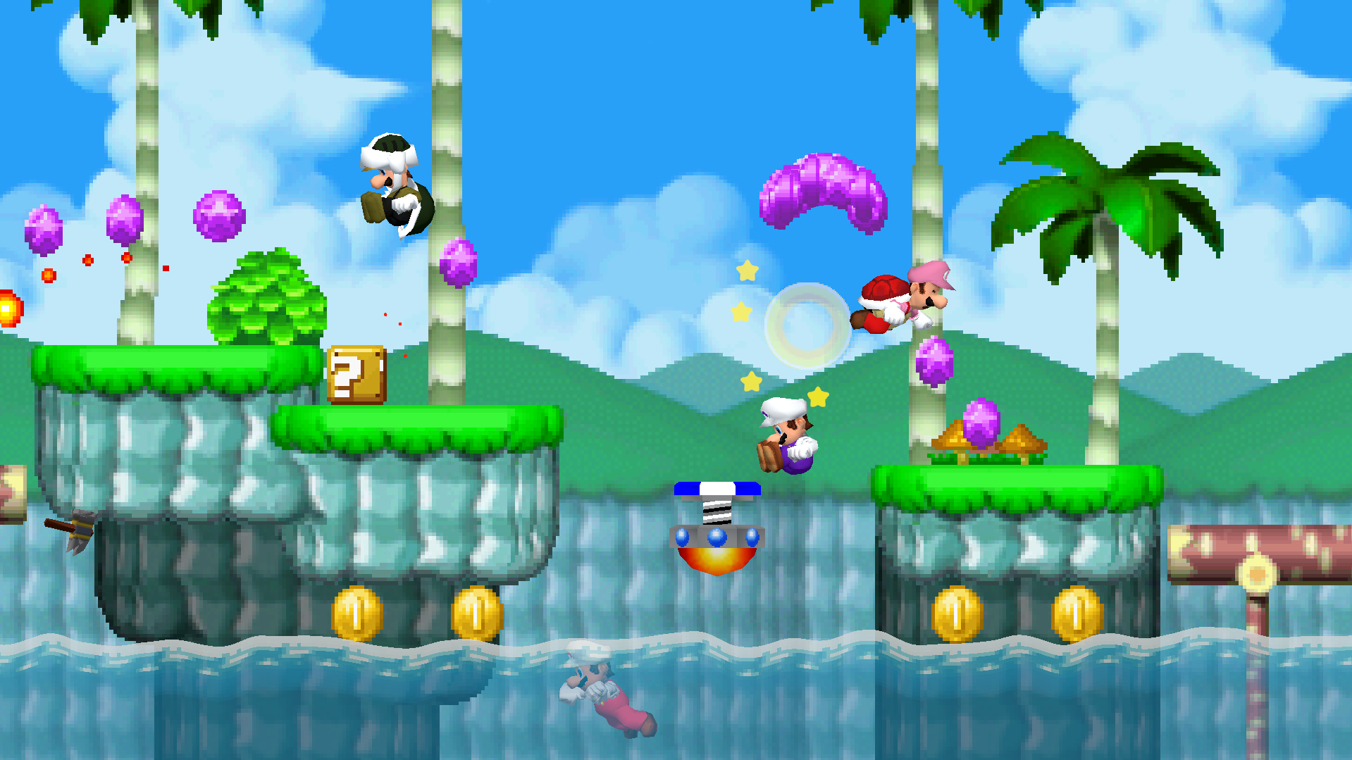 NSMB: Mario vs. Luigi Online