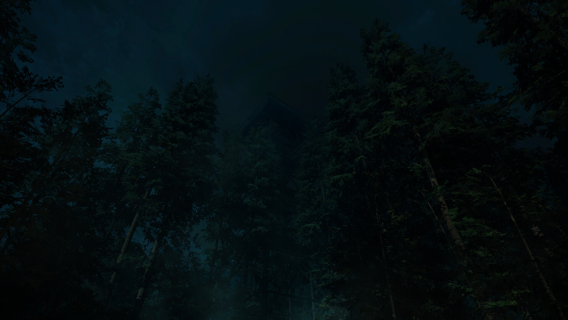 Forest Lookout