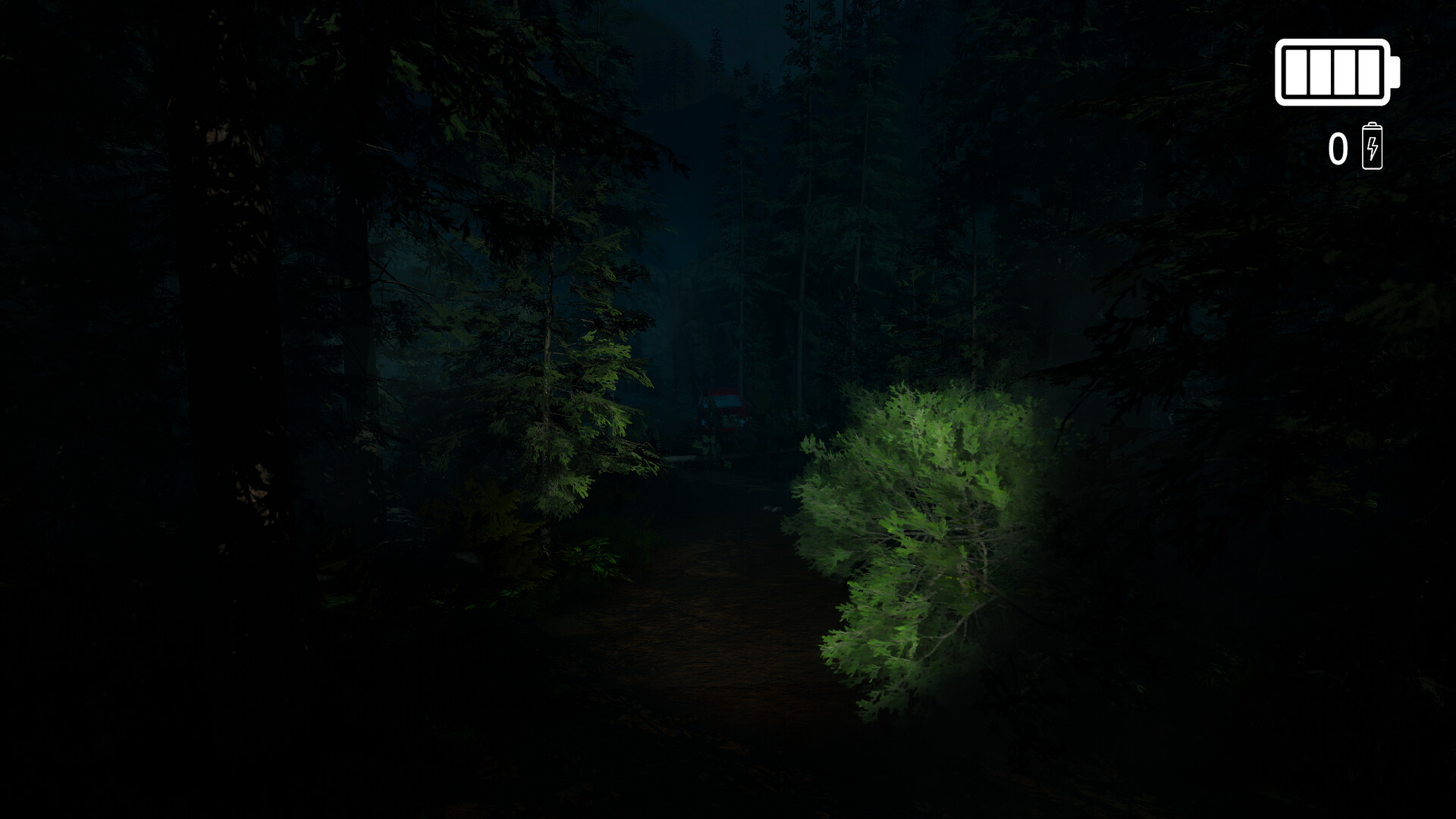 Forest Lookout