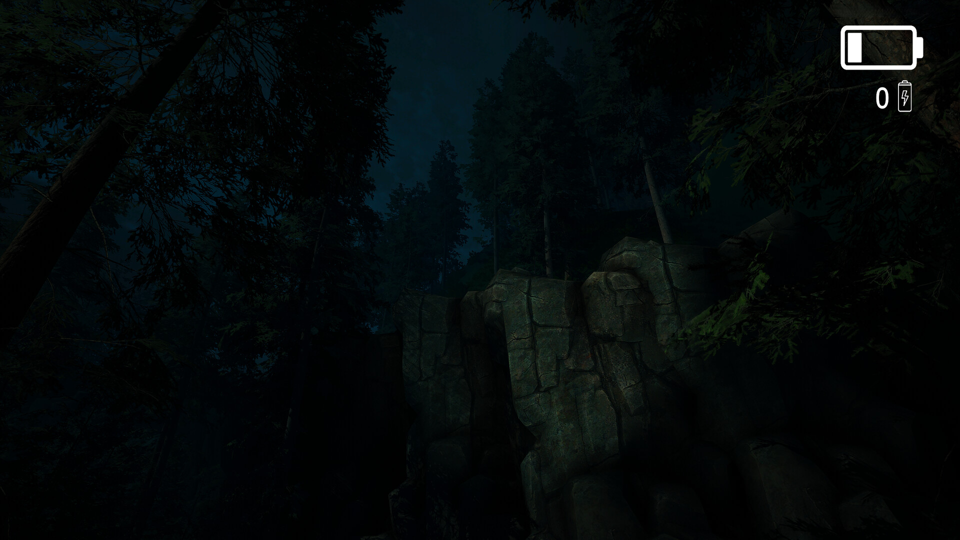 Forest Lookout