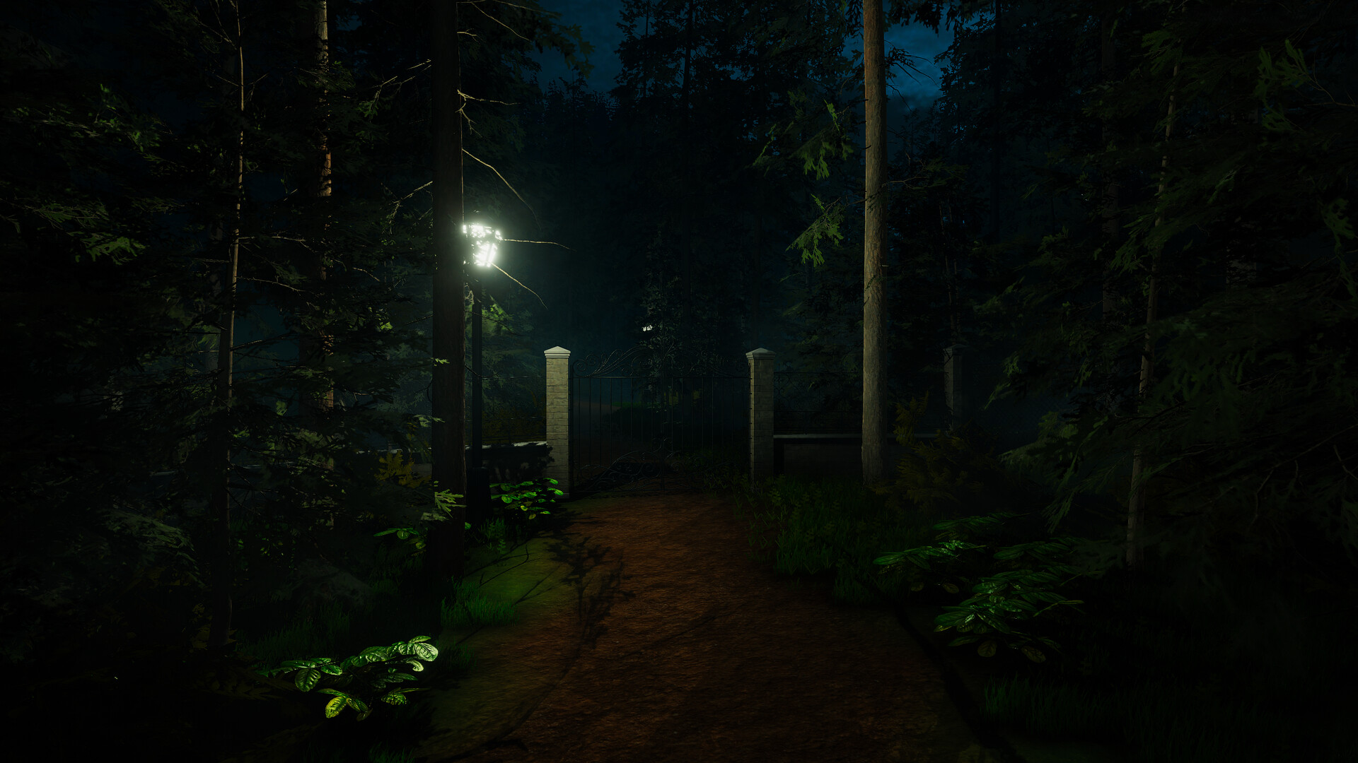 Forest Lookout