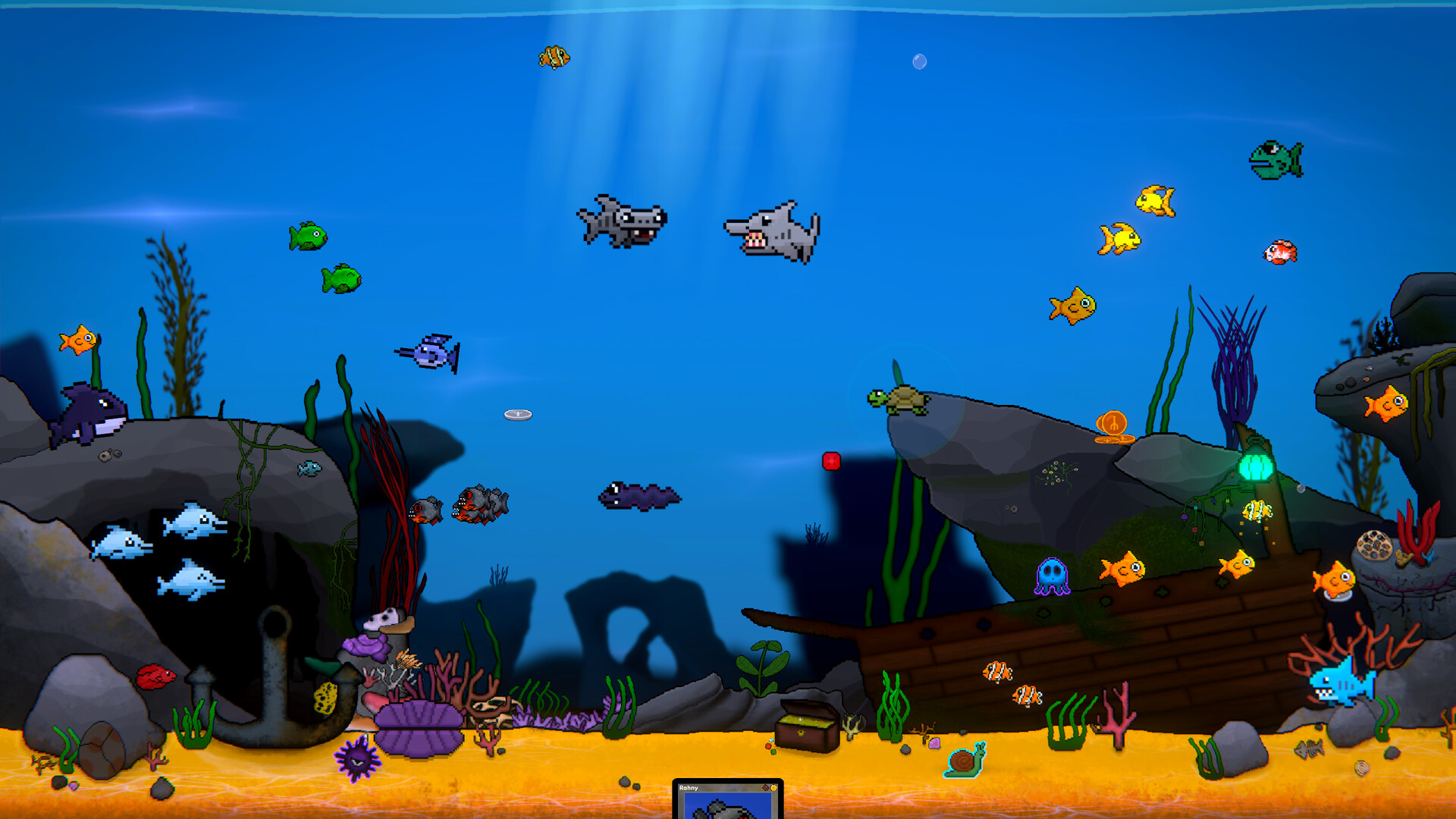 Loopquarium
