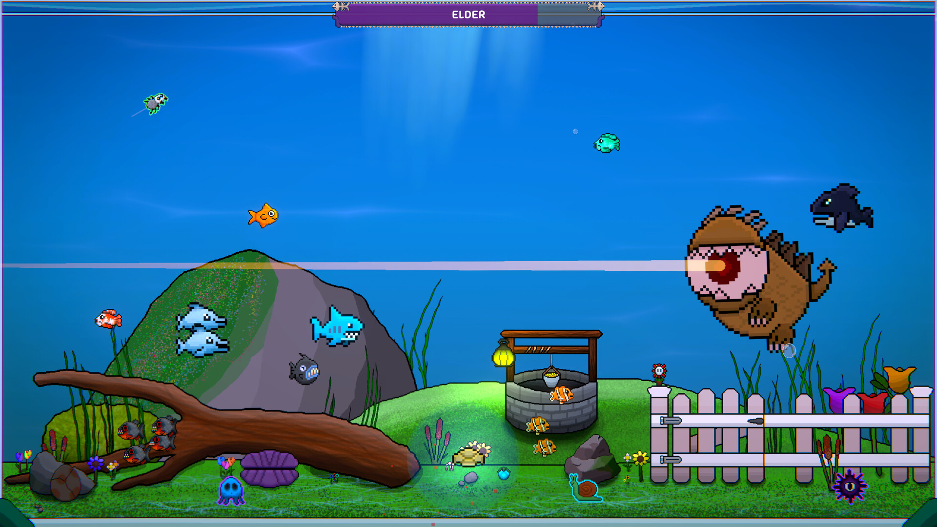 Loopquarium
