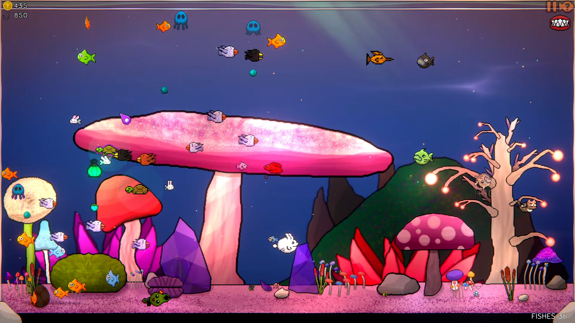 Loopquarium