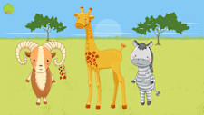 Cute Animals