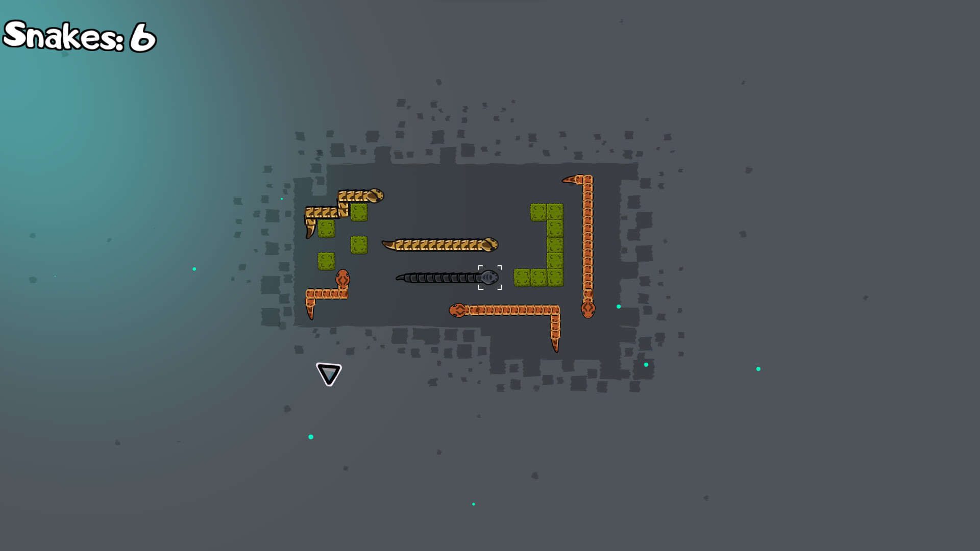 A Tangle of Snakes