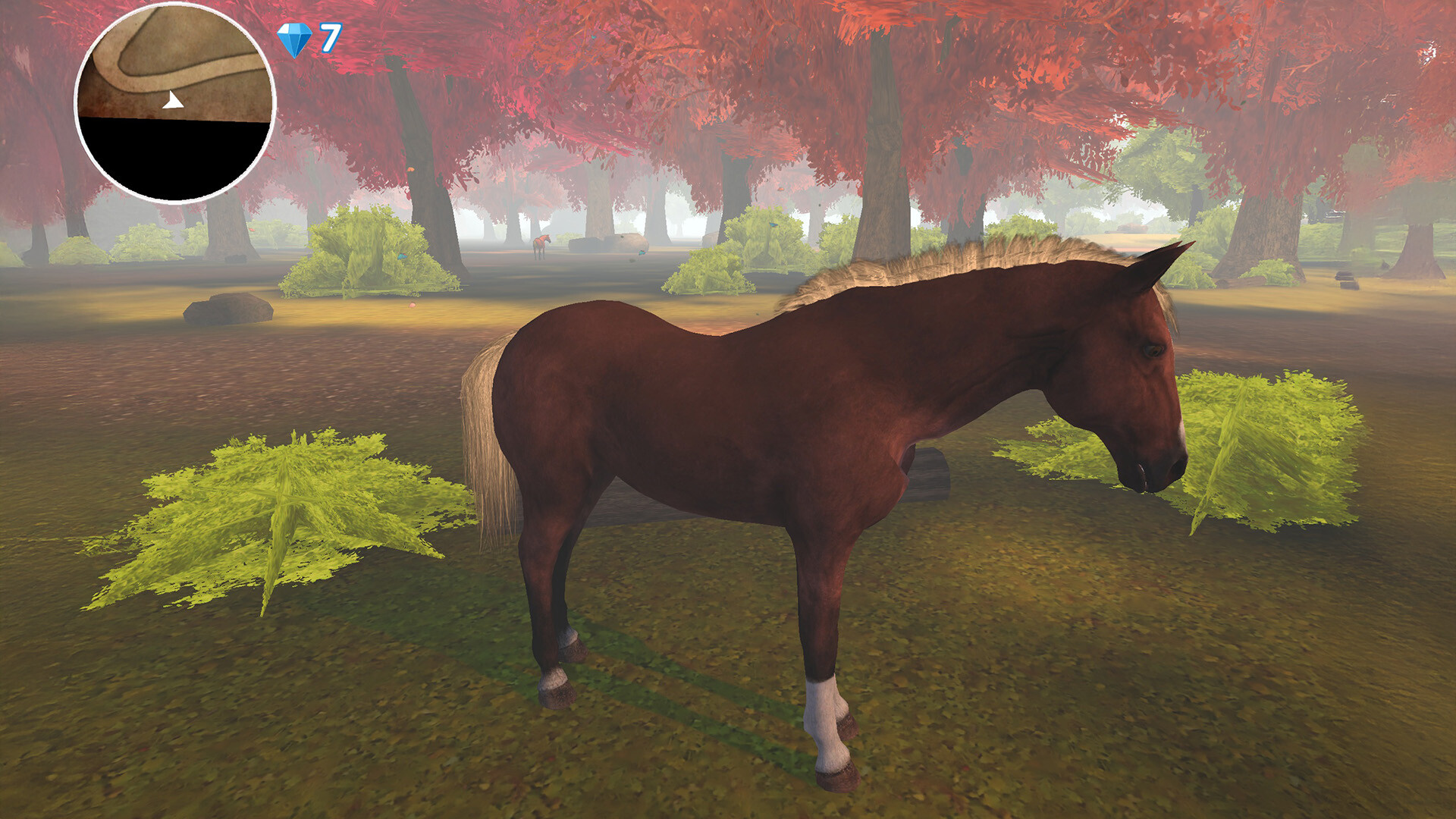 Horse Spirit Valley