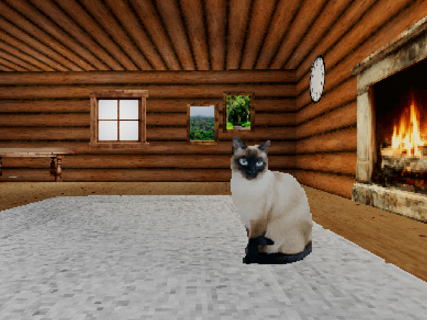 Take Care Of The Cat