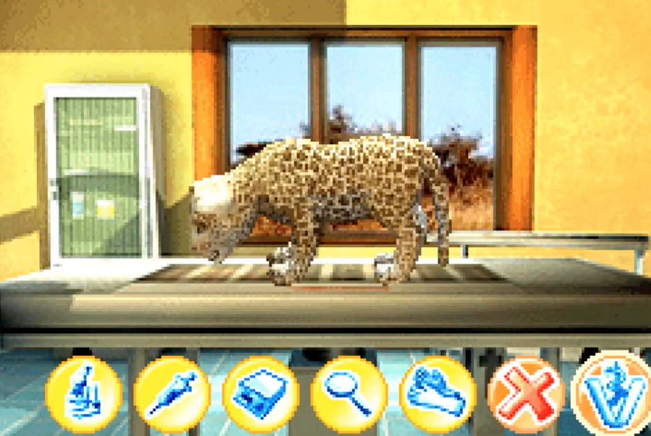 My Animal Centre in Africa