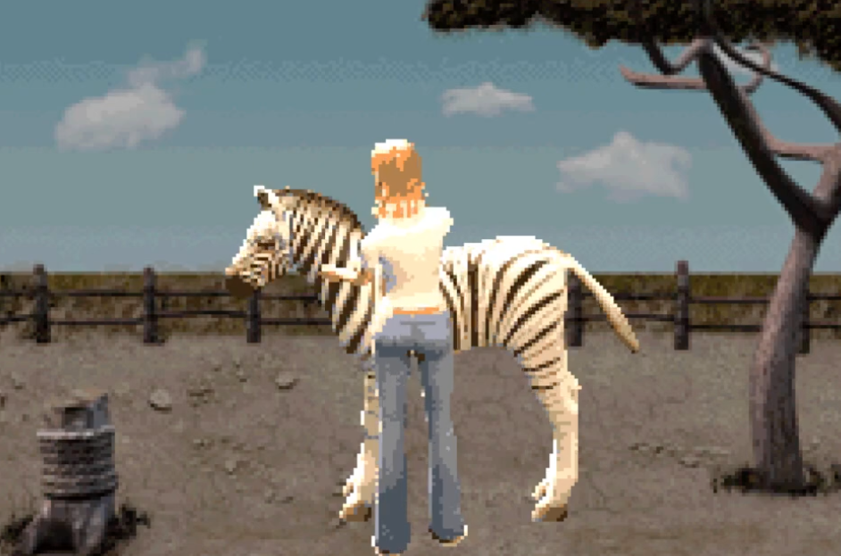 My Animal Centre in Africa