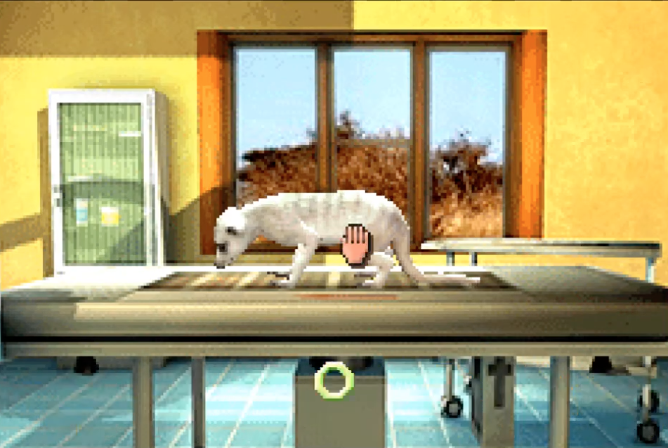 My Animal Centre in Africa