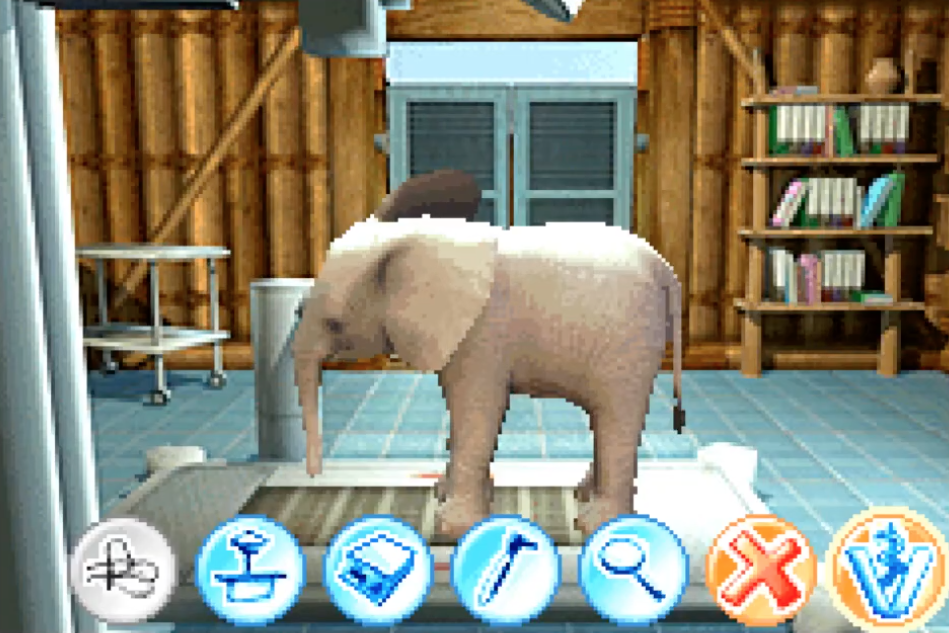 My Animal Centre in Africa