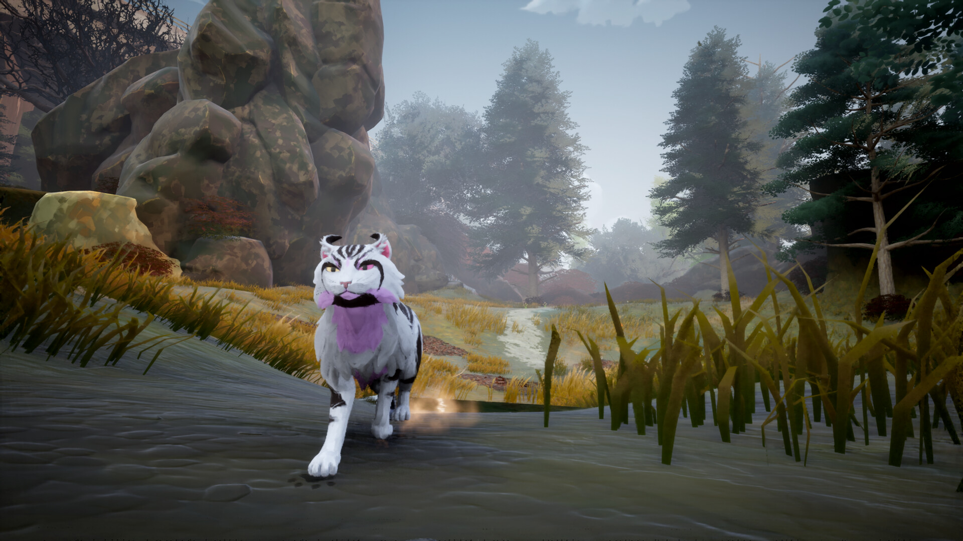 Warrior Cats: Clans of the Forest