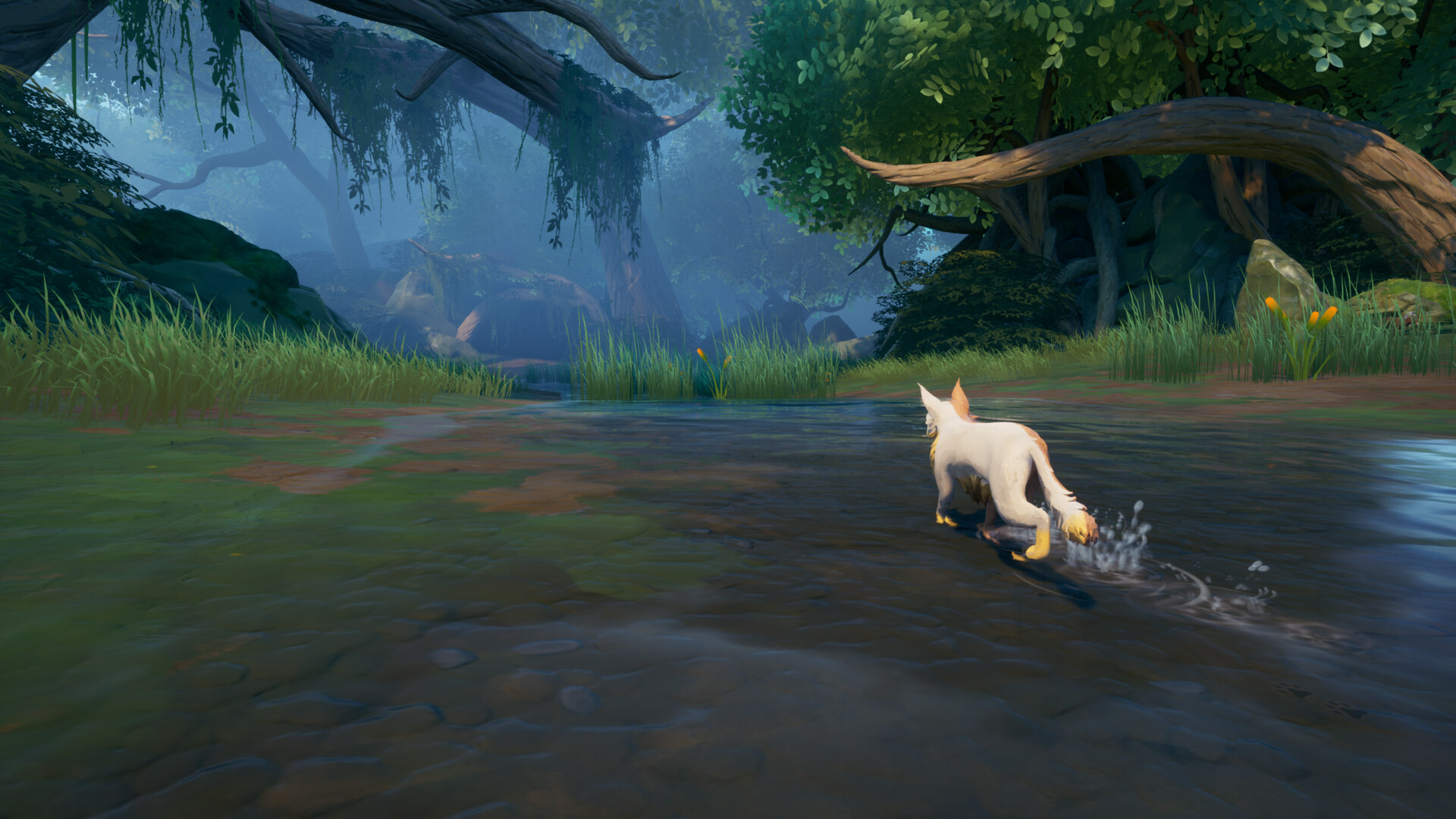 Warrior Cats: Clans of the Forest