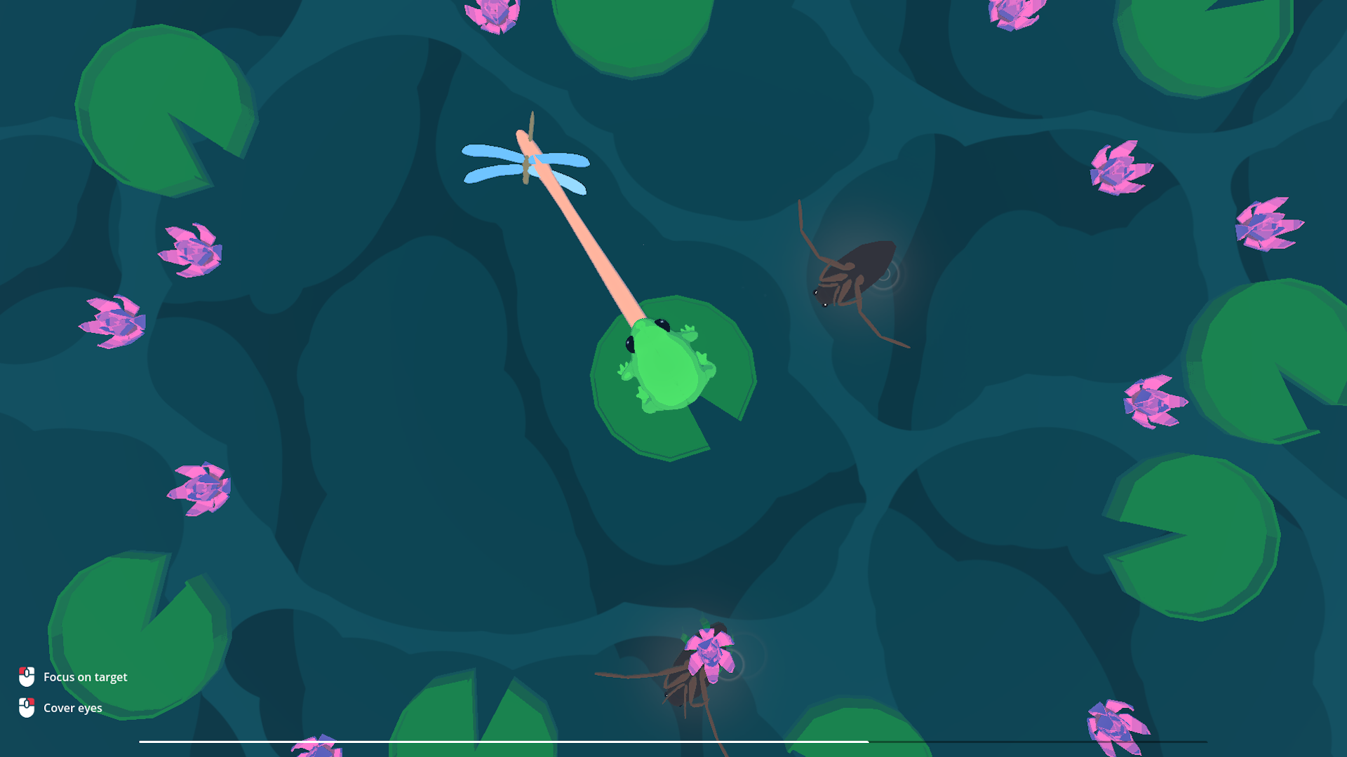 Focus Froggy