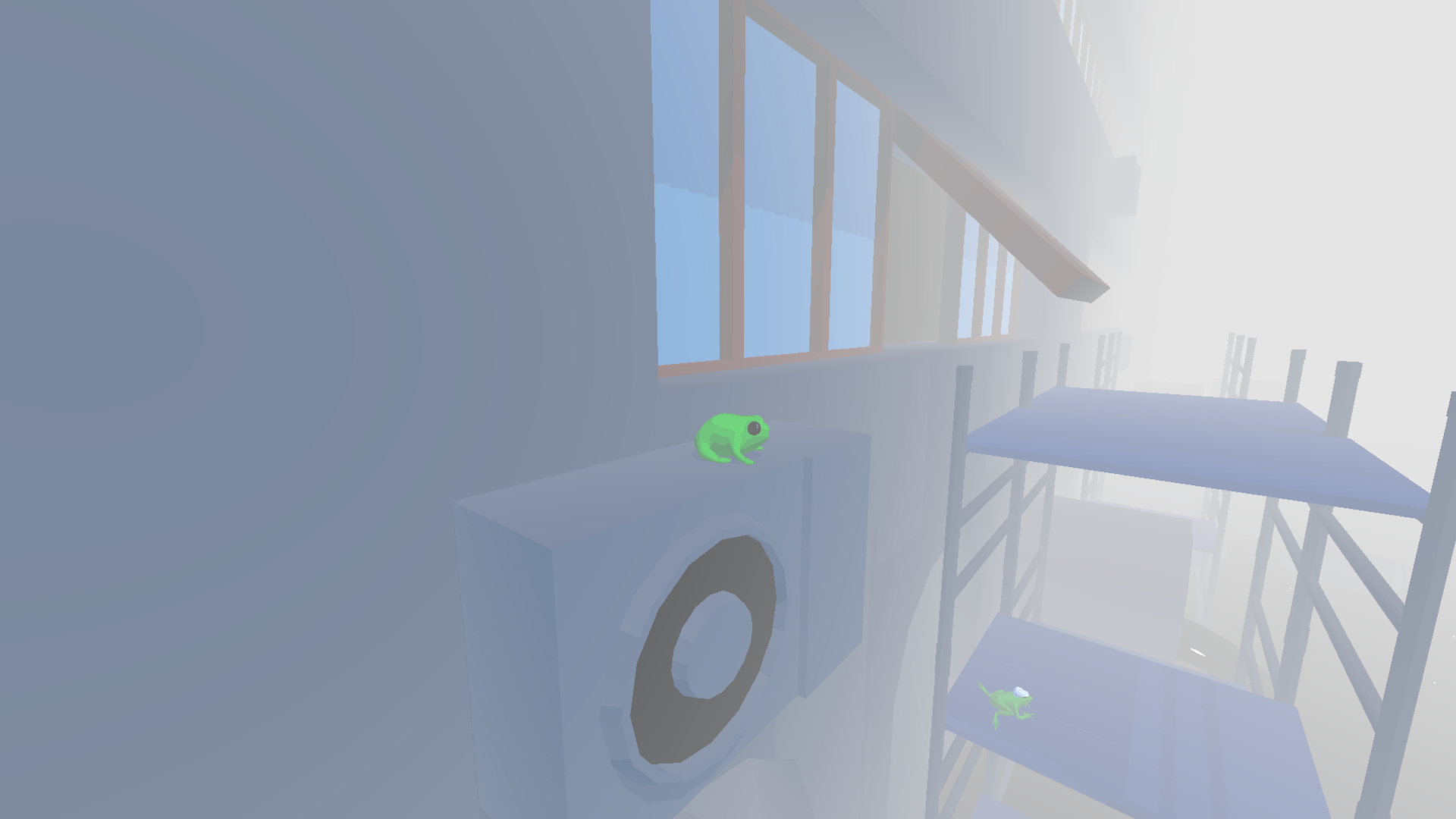 Focus Froggy