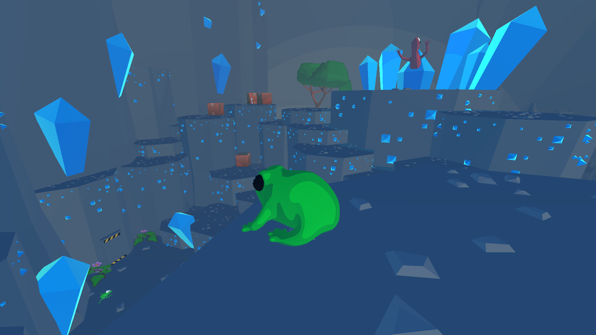Focus Froggy