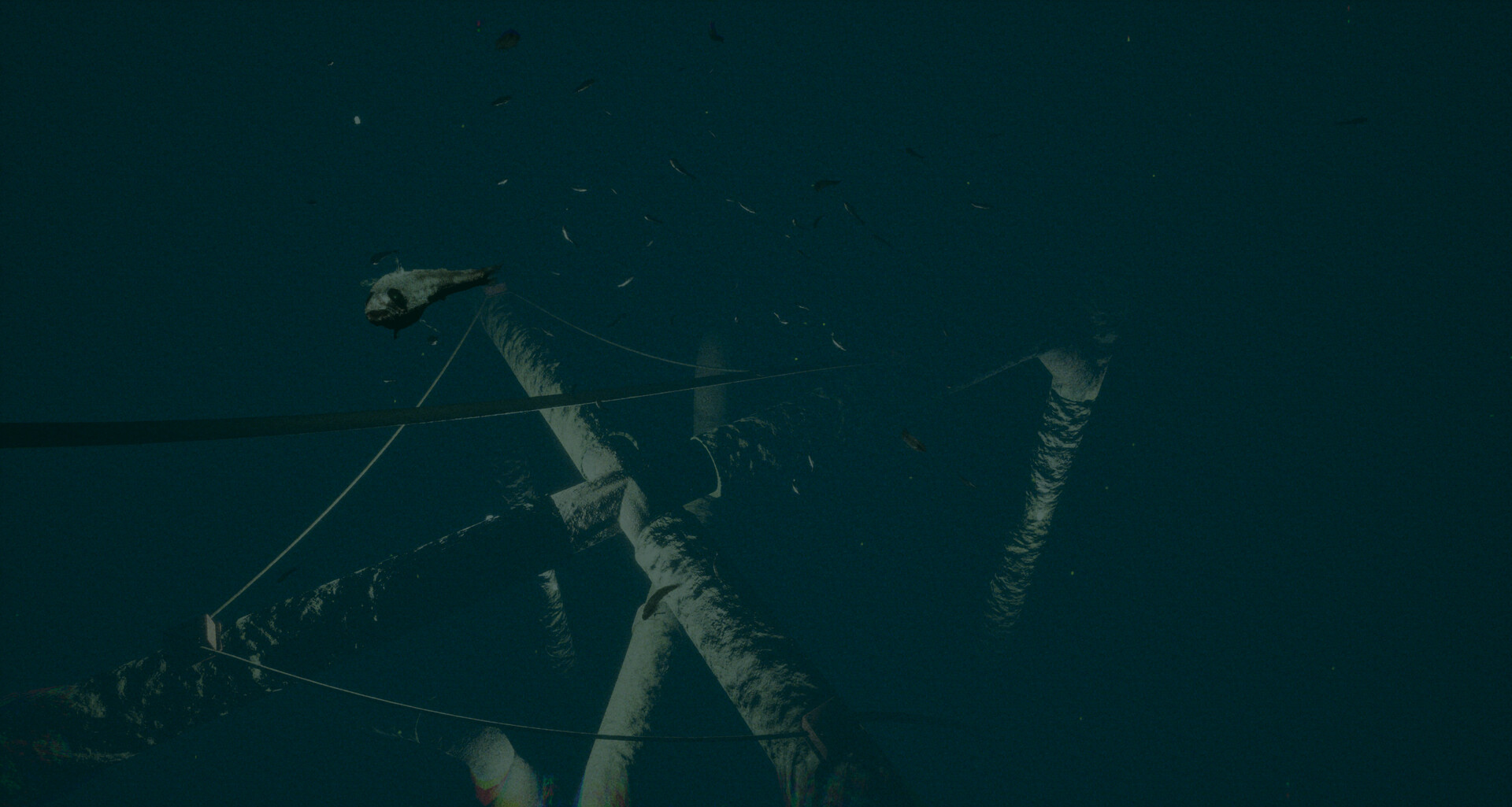 Dark of the Depths