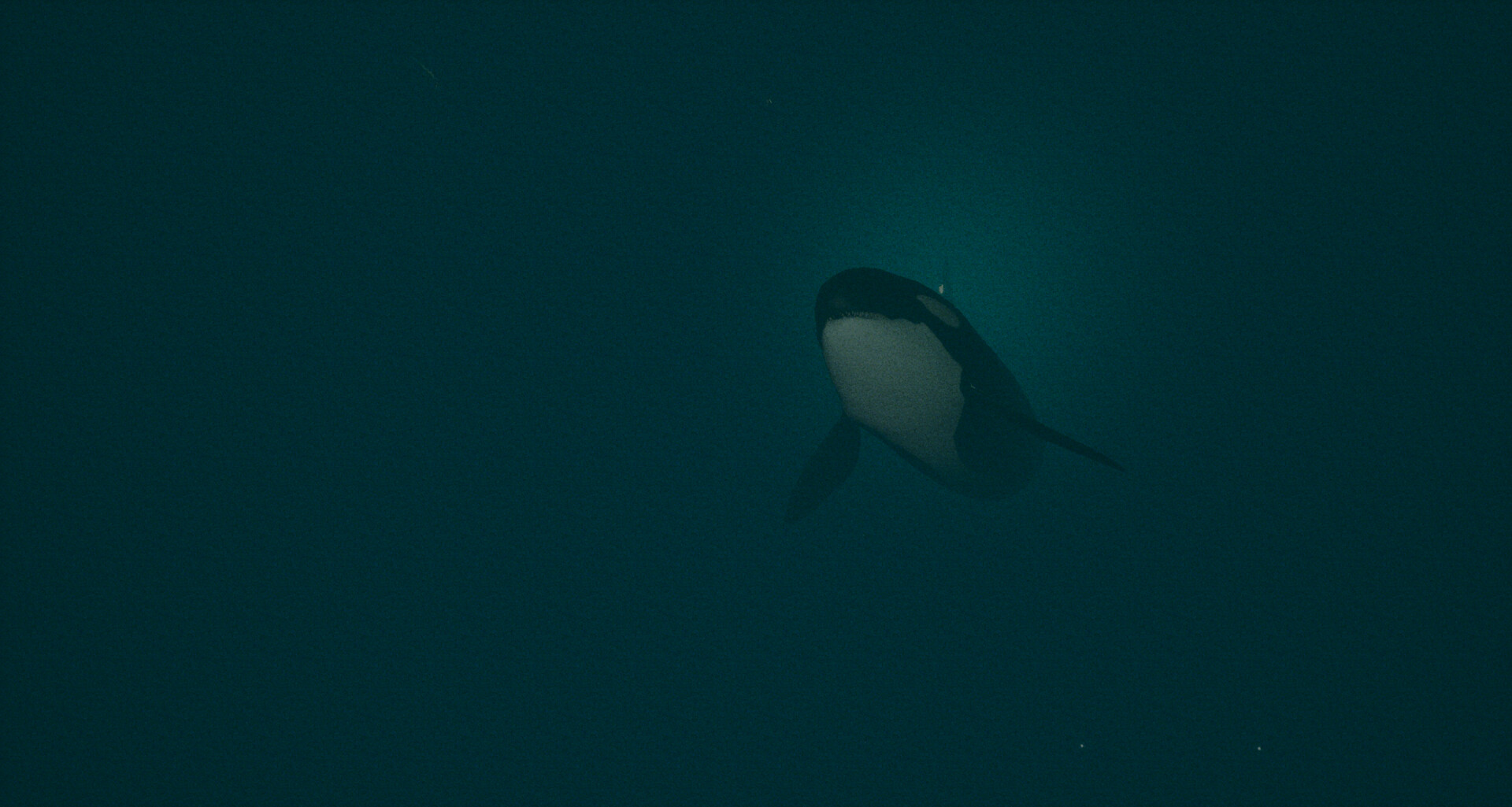 Dark of the Depths