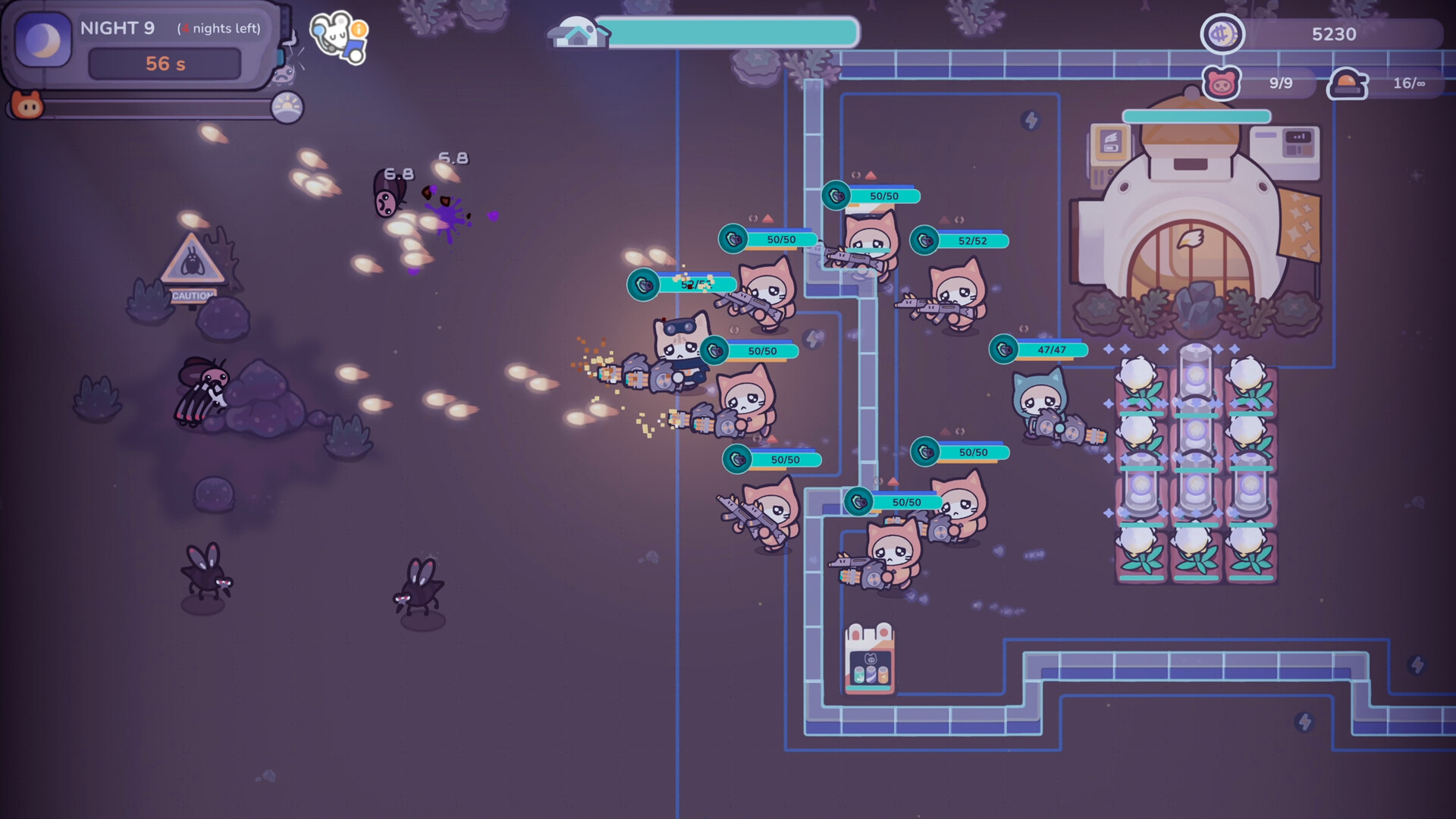 Galaxy Critter Co.