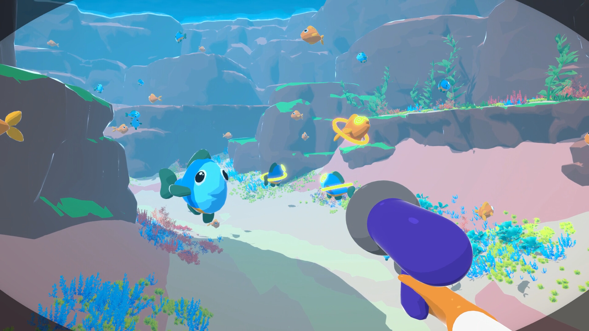 HypnoFish Inc.