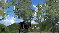 Horse Spirit Valley 2
