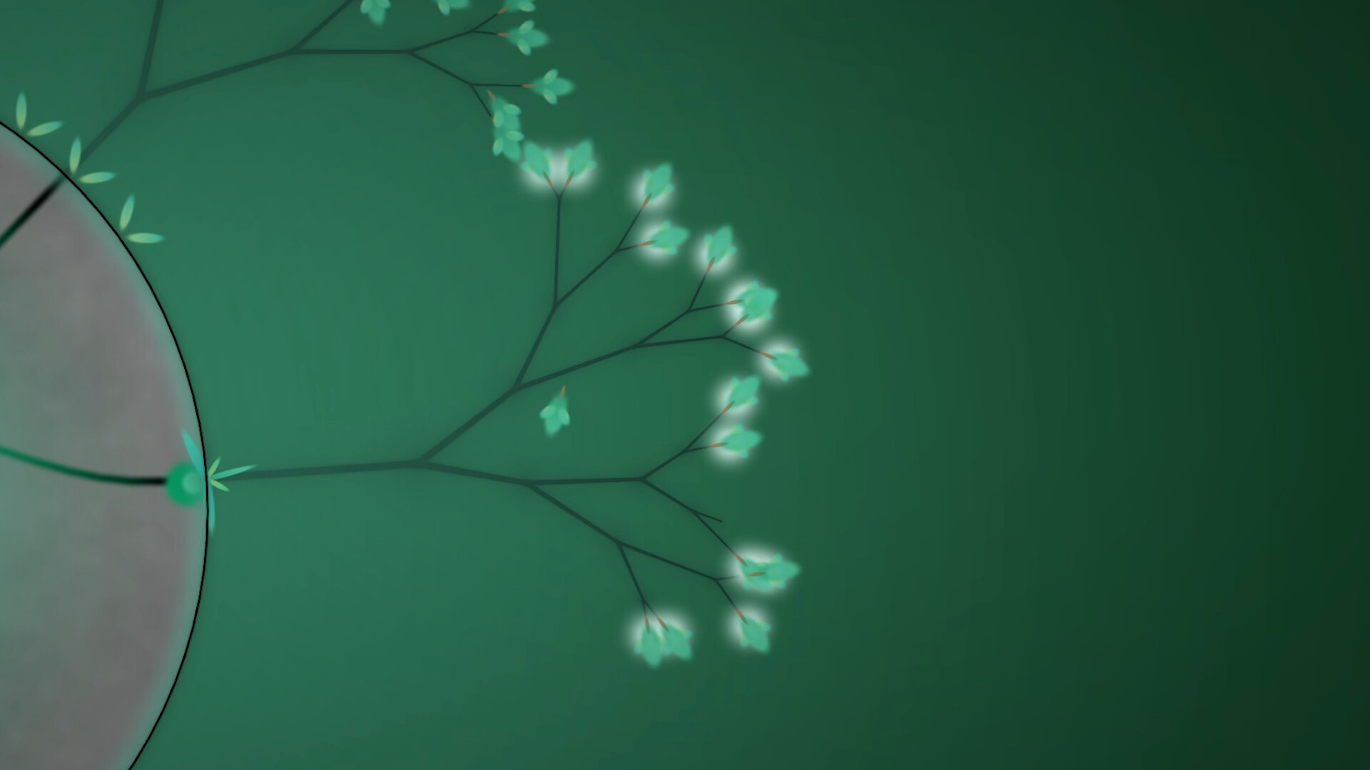 Eufloria 2
