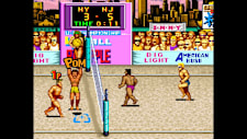 Arcade Archives: V’Ball