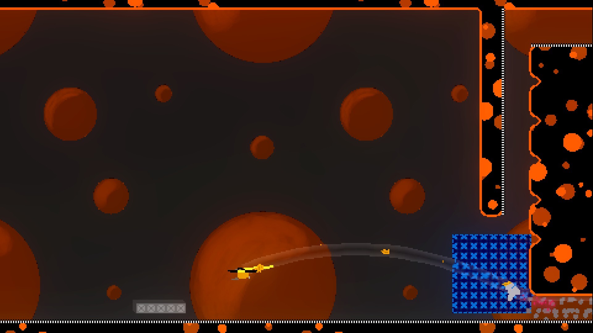 Silly Bird Sequel