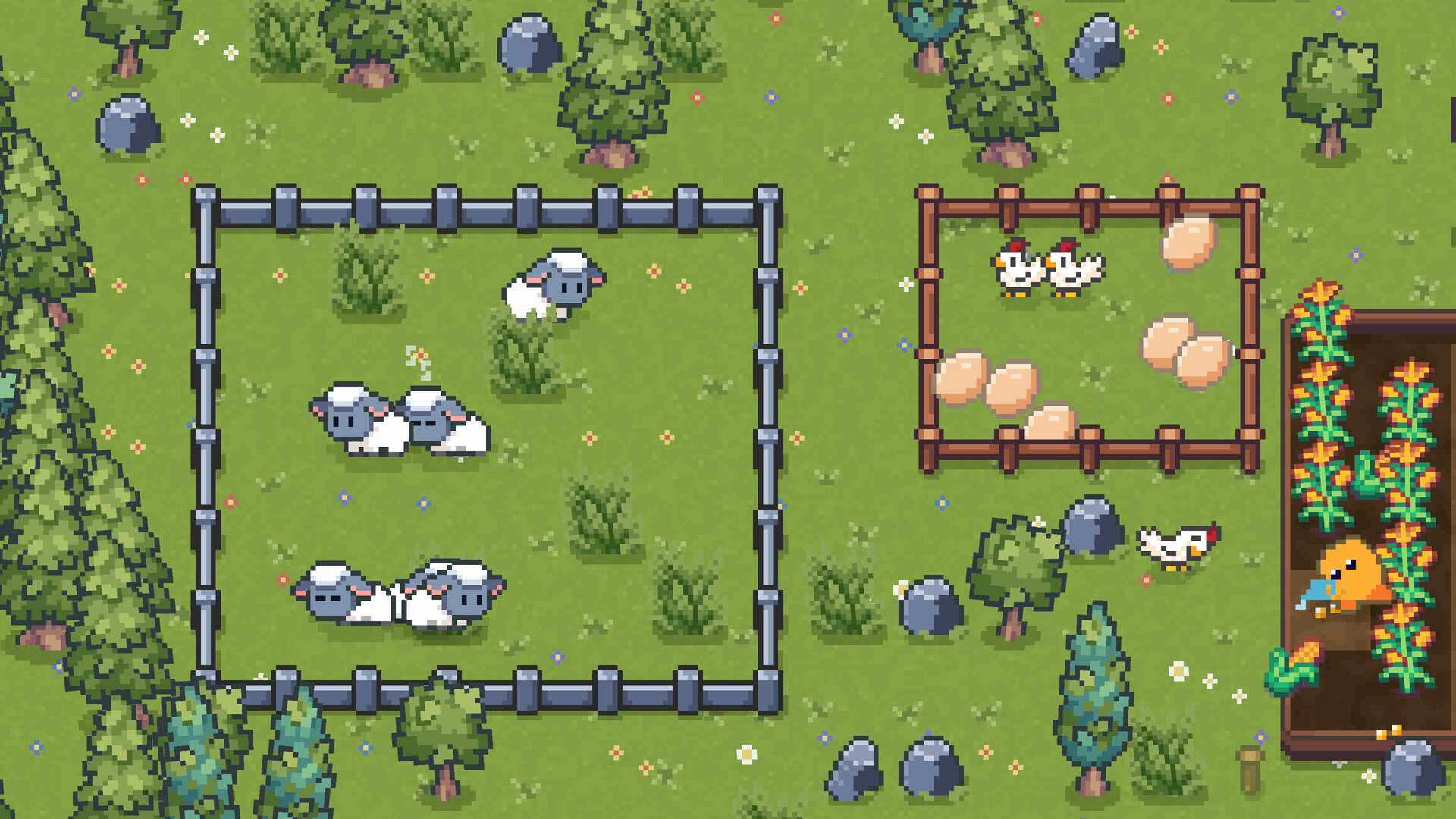 Sprout’s Meadow