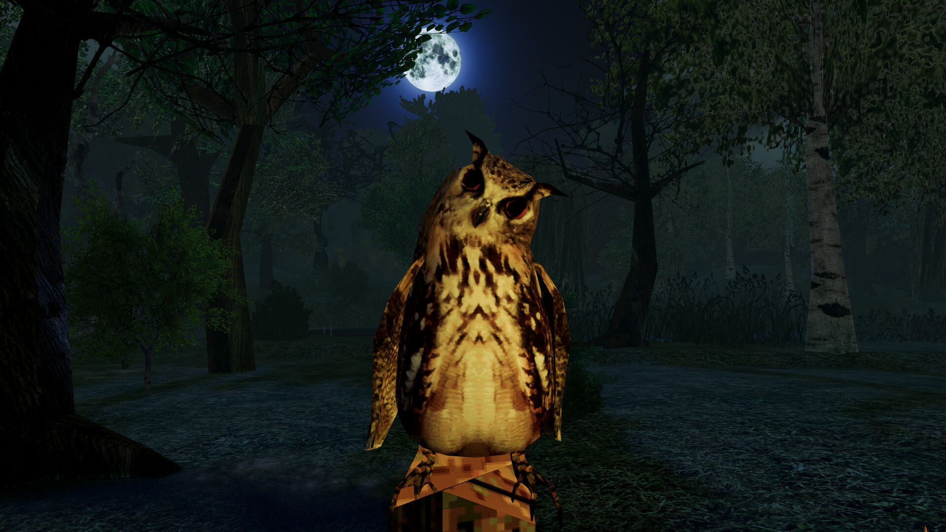 I Hear the Forest
