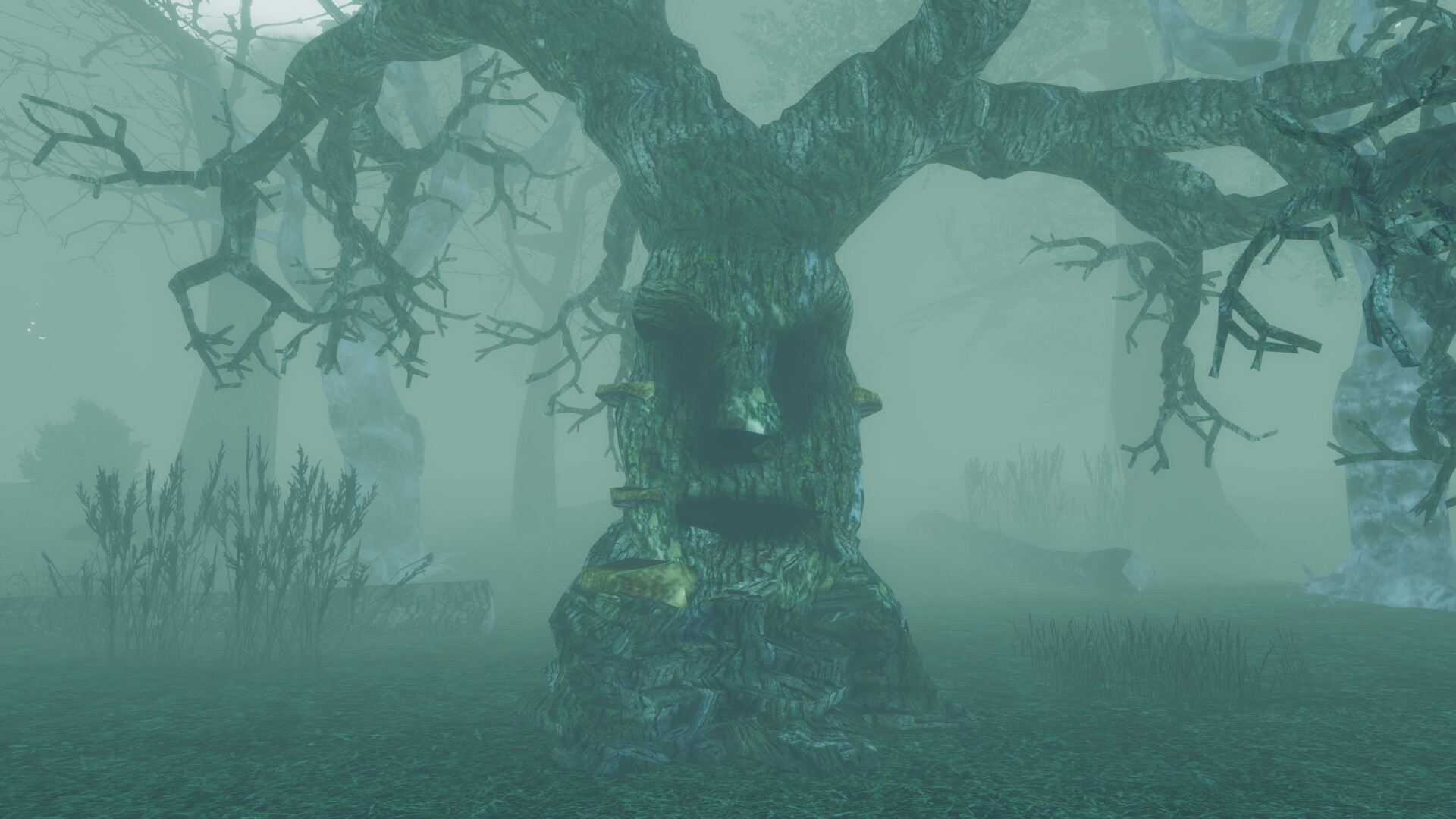 I Hear the Forest