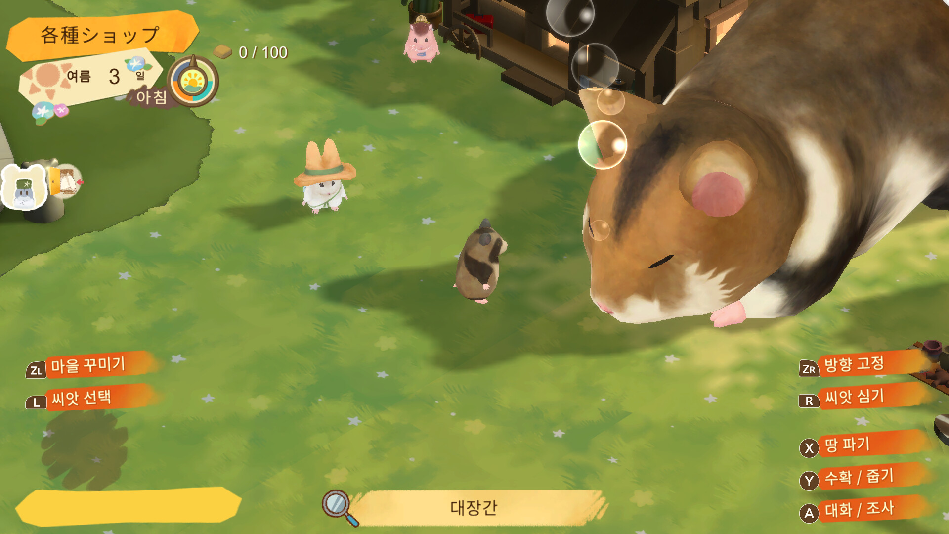 Hamster and the Village of Sun