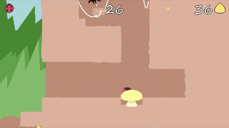 A Bug’s (Short) Life